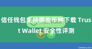 信任钱包支持哪些币种下载 Trust Wallet 安全性评测